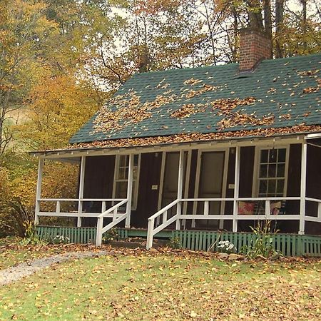 The Cabins At Healing Springs Crumpler Exteriör bild