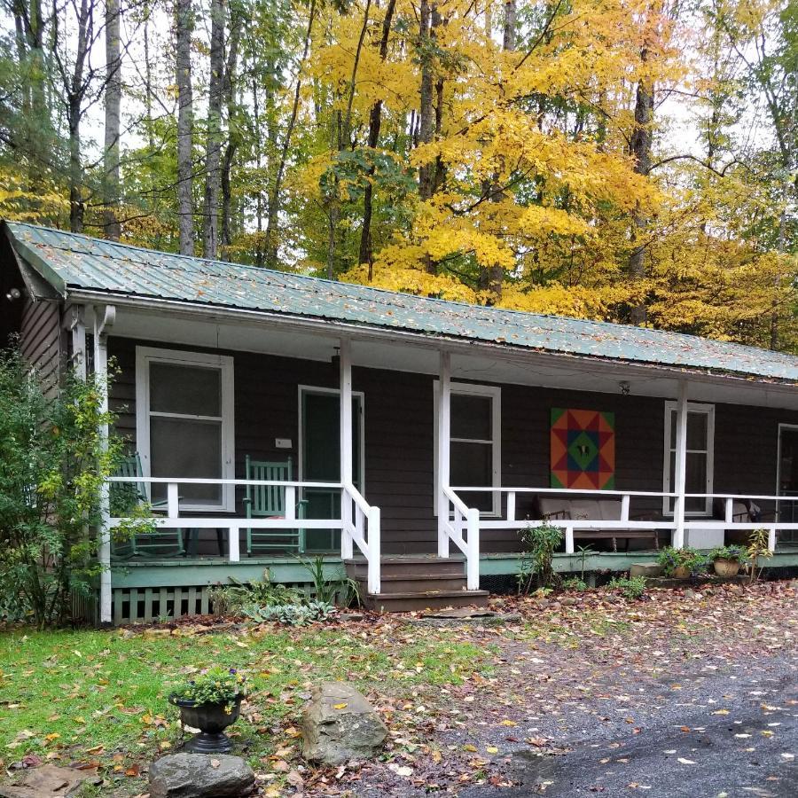 The Cabins At Healing Springs Crumpler Exteriör bild