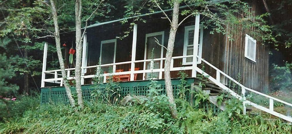 The Cabins At Healing Springs Crumpler Exteriör bild