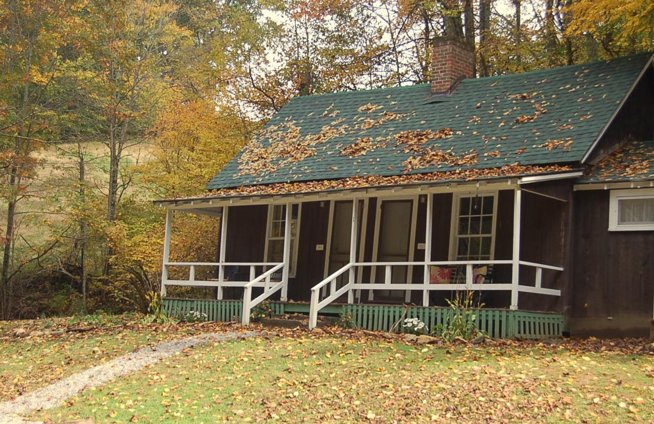 The Cabins At Healing Springs Crumpler Exteriör bild